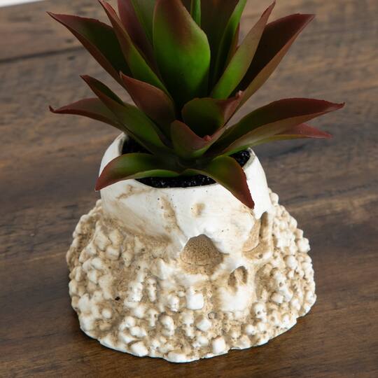 5" Artificial Halloween Succulent Garden in Haunted Planters Set